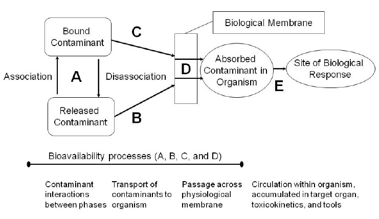 Image-Section 1_Figure 1-1