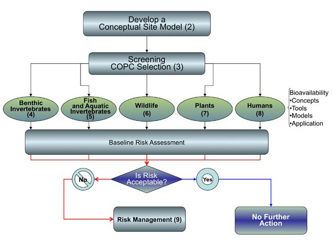 Image-Section 1 Overview Chart