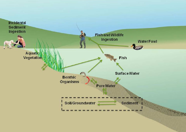 Image-Toby Creek Mine Drainage Site