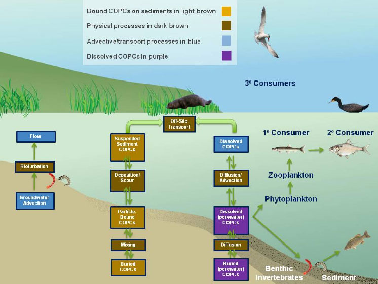 Image-Figure 2-1. Key exposure pathways for human health risk at contaminated sediment sites.