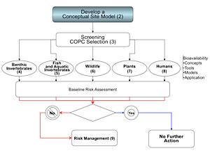 Image-Section 2.2 Small Chart