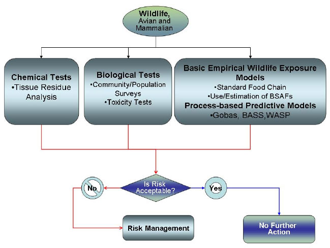 How Digestive Processes Can Affect the Bioavailability of PCBs