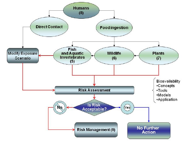 Image-Section 8 Overview Chart