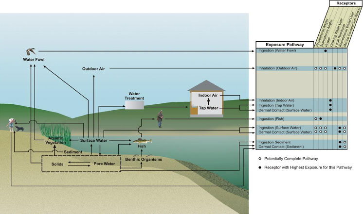 Image-Toby Creek Mine Drainage Site