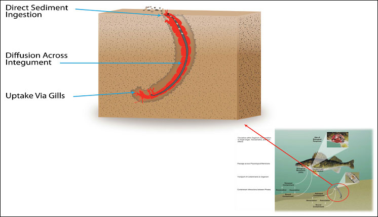 Image-Figure 4-1