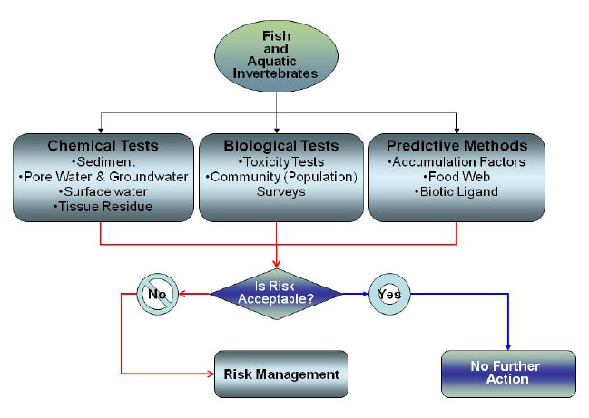 Image-Section 5 Overview Chart