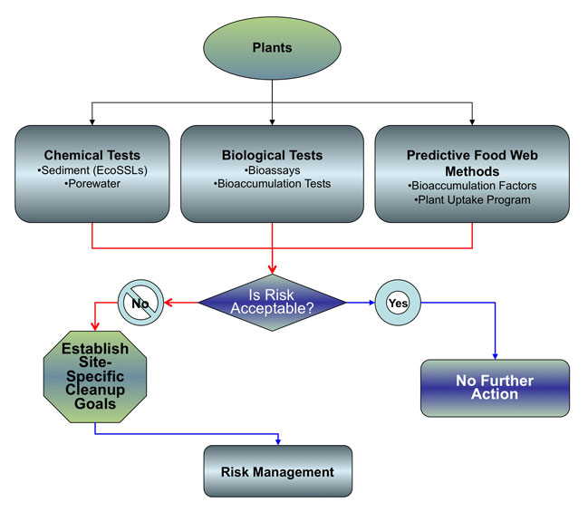 Image-Section 7 Overview Chart