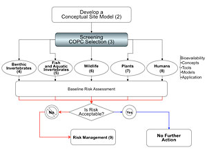 Image-Section 3 Small Chart