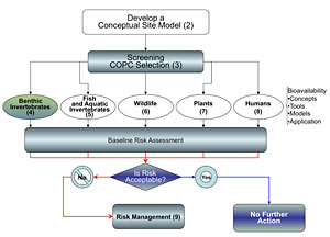 Image-Section 4 Small Chart