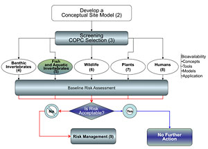 Image-Section 5 Small Chart