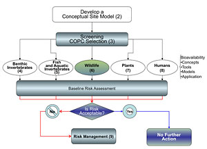 Image-Section 6 Small Chart