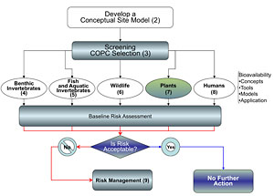 Image-Section 7 Small Chart