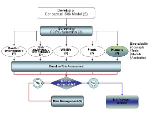 Image-Section 8 Small Chart