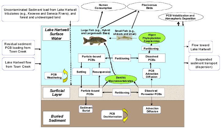 Image-Text Box 2-2 Chart