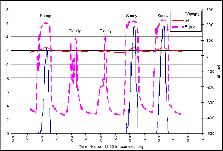 Image-Microbial Mats Figure 1-2