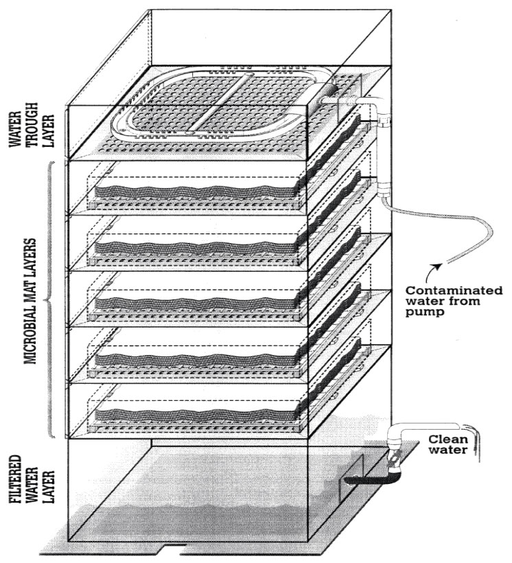 Image-Microbial Mats Figure 2-1